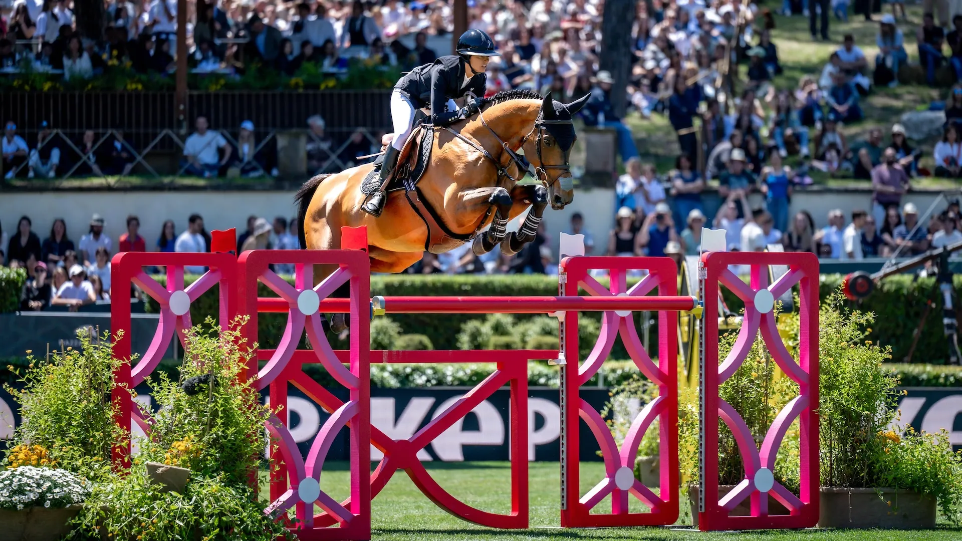 Après Nikka vd Bisschop et My Clementine, au tour de Dynastie de Beaufour de briller sous la selle de Nina Mallevaey, saluée de toutes parts.