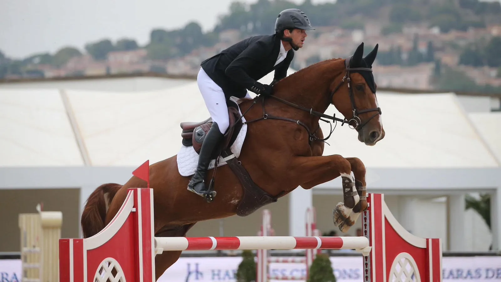 Romain Dreyfus et Calife du Nevez au CSI 2* de Grimaud en septembre dernier.