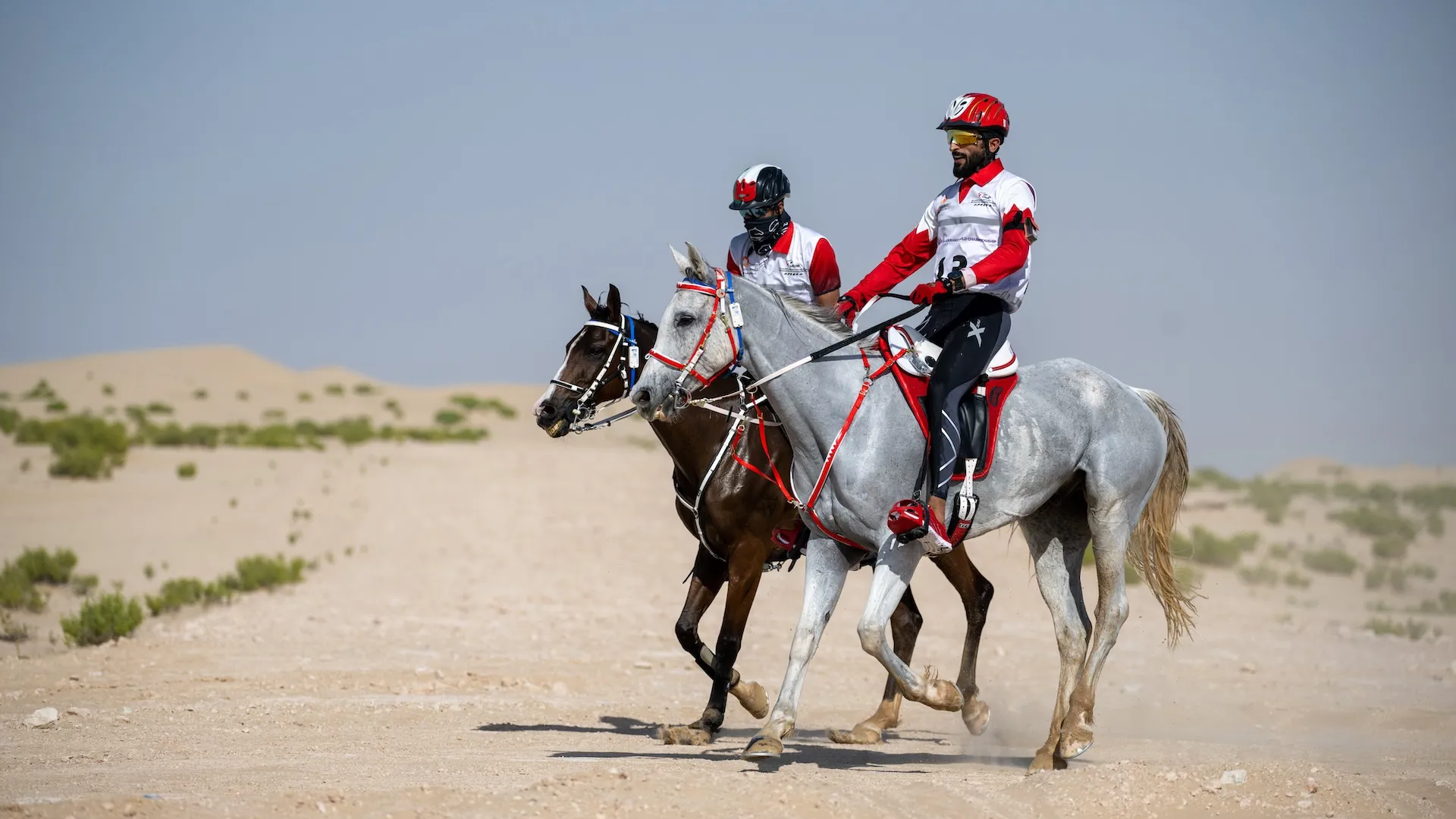 Darco la Majorie le jour de son accession au trône mondial, en 2022. 