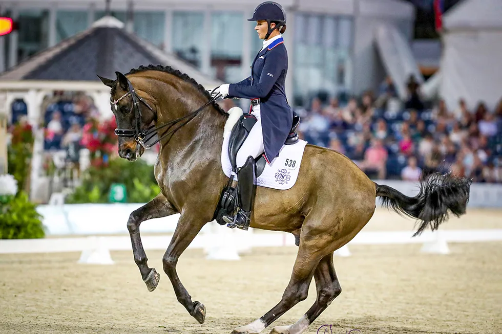 Pour leur retour à la compétition depuis les Jeux olympiques de Tokyo, Salvino et Adrienne Lyle ont signé deux victoires.