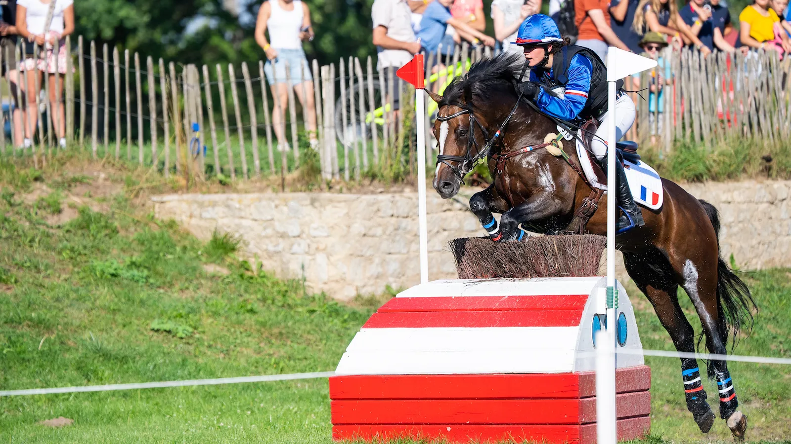 Double champion d'Europe, Boston du Verdon a, cette année encore, imposé sa domination en concours complet. 