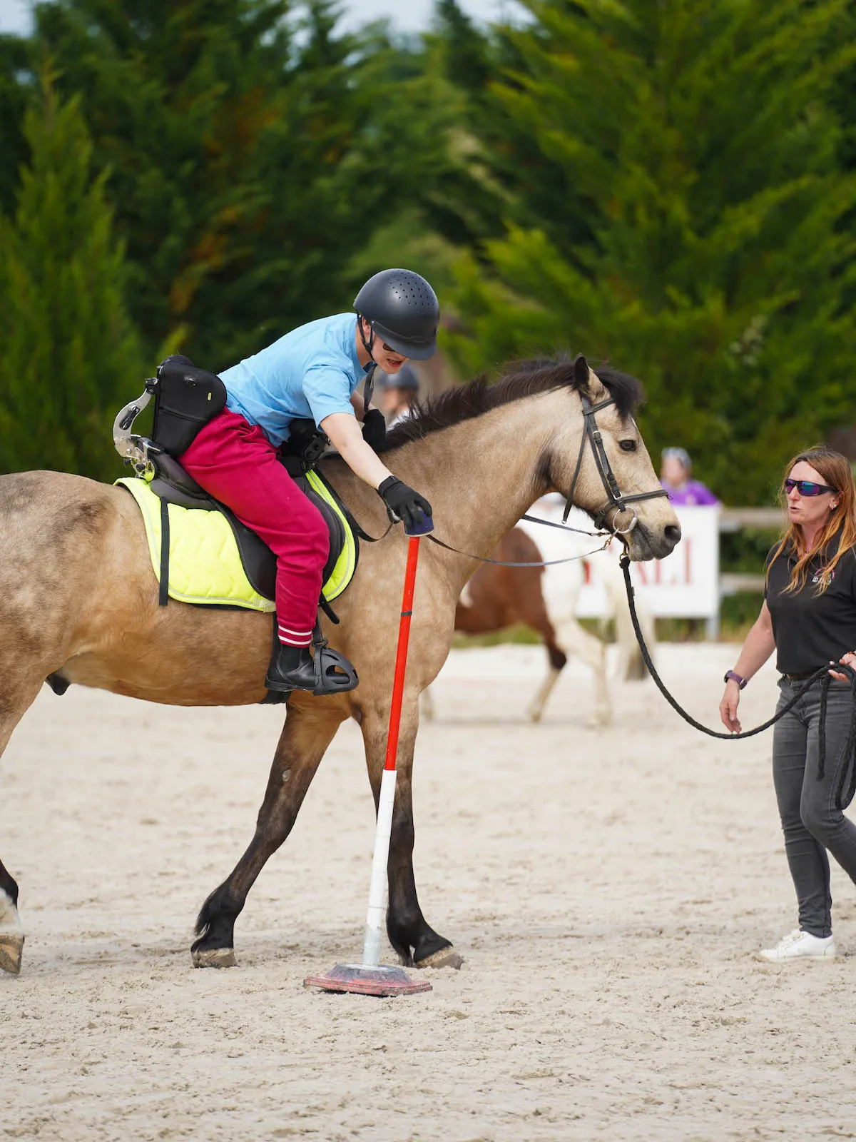 Au programme: aussi equifun, pony-games, dressage, ride & run, longues-rênes, equifeel, attelage, mais aussi ateliers sensoriels.  