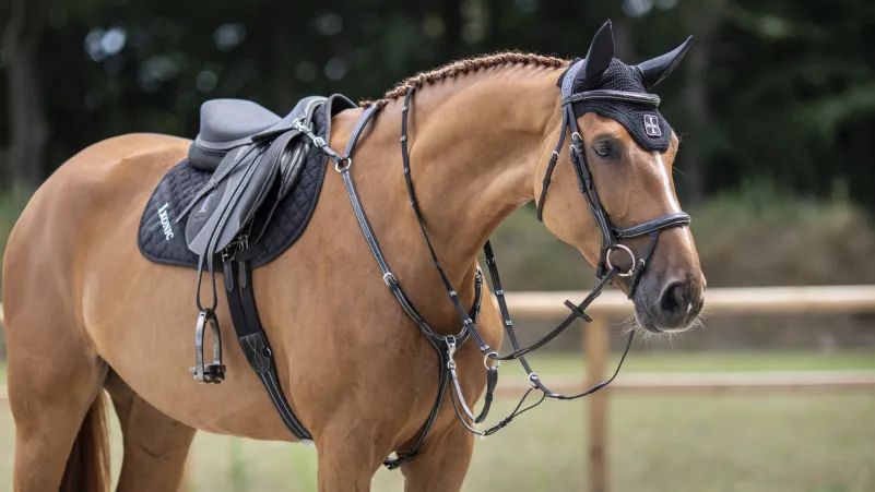 La gamme Ikonic Evolution