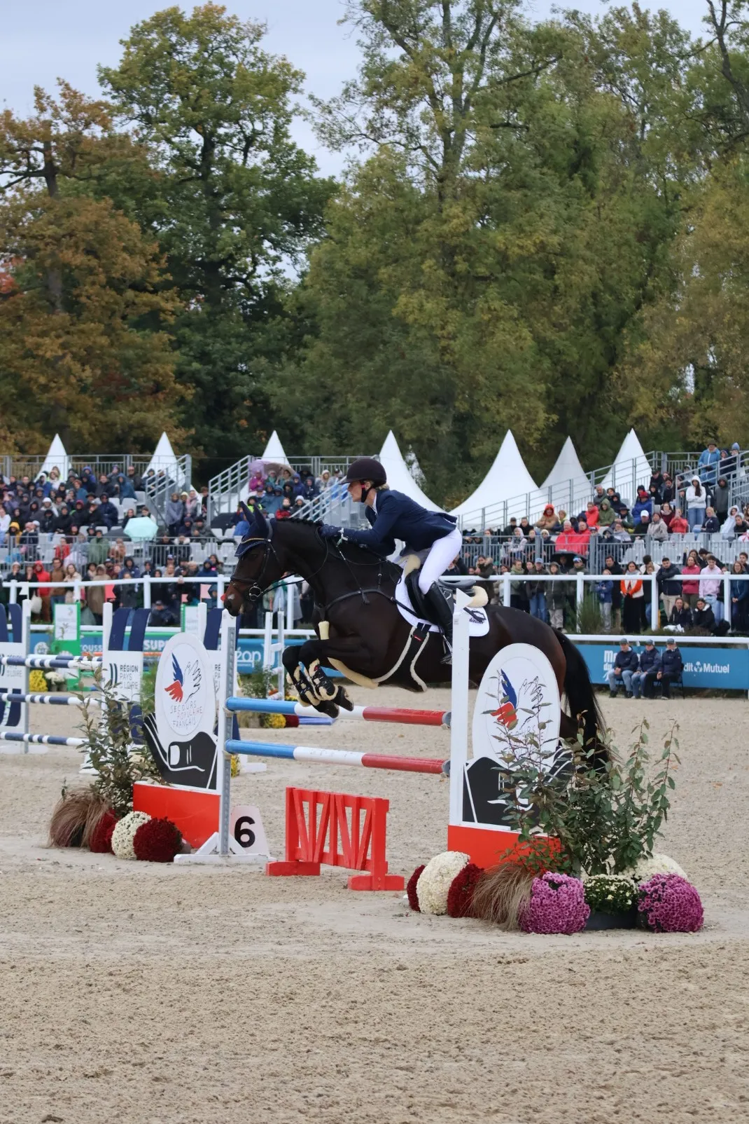 Finalement deuxièmes, Lara de Liedekerke-Meier et Hélios se sont battus jusqu’au bout pour tenter d’empocher la victoire. 
