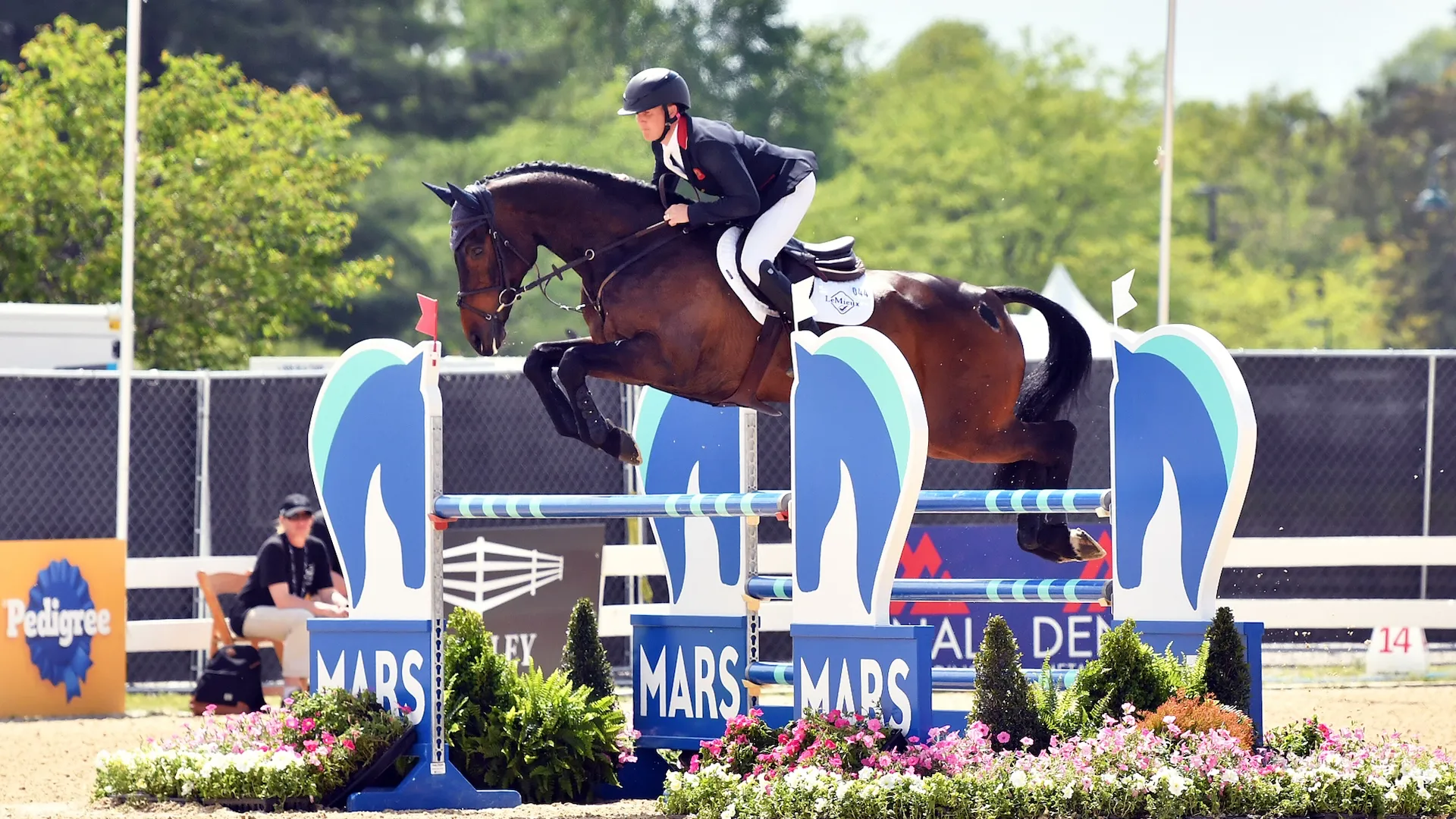 Avec une faute à l’hippique, Tom McEwen a été rétrogradé au deuxième rang. 