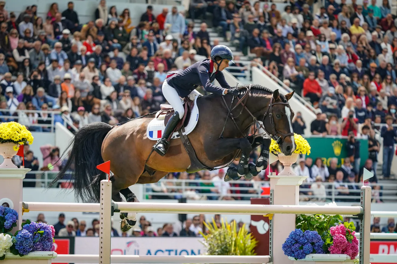 Mégane Moissonnier et Cordial au CSIO 5* de La Baule il y a quelques semaines.