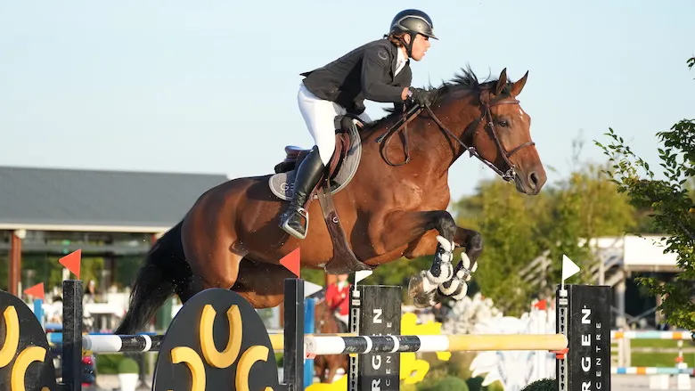 En plus de sa jument de tête, Charlotte 198, Jules Orsolini compte également sur Ibrahim, un étalon KWPN de dix ans. 