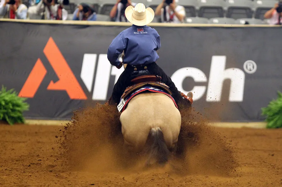 Le sol peut être différent en fonction des disciplines pratiquées lors des événements équestres.