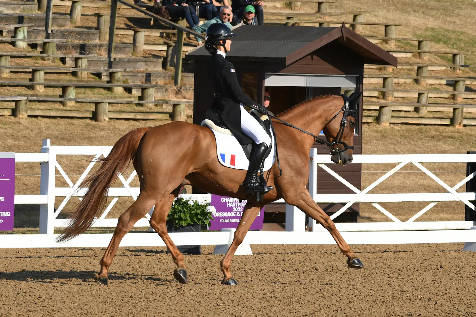“J’étais un peu moins stressée pour le dressage que pour les deux autres épreuves”, affirme la Toulousaine.