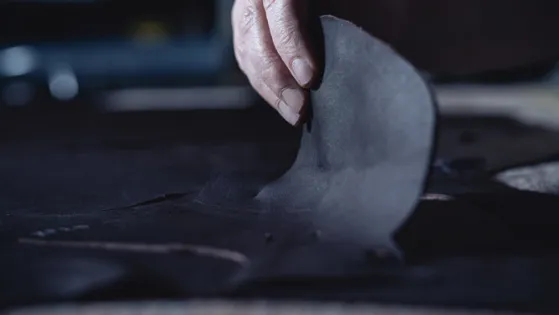 Une selle élaborée pour le confort 