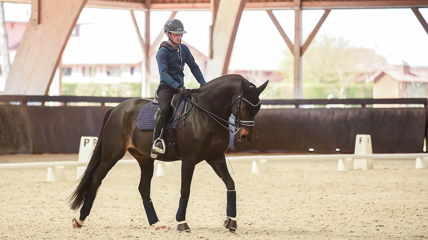 Corentin Pottier et son meilleur cheval Gotilas du Feuillard. 