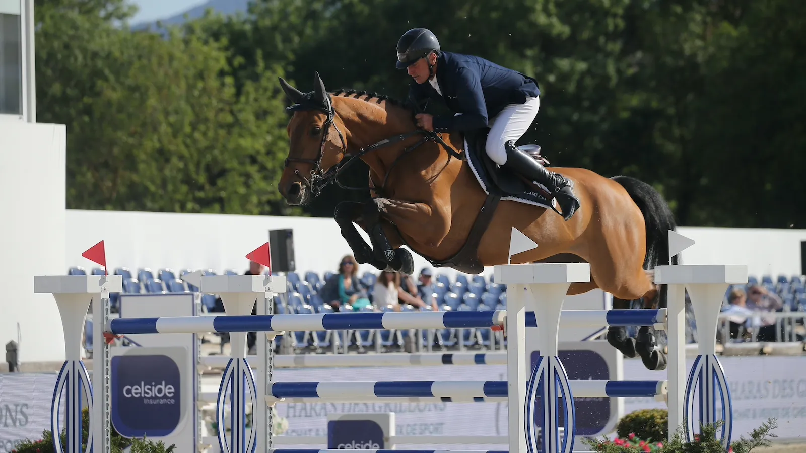 Avec Bluemuch des Baleines, Roger-Yves Bost compte une recrue de choix.