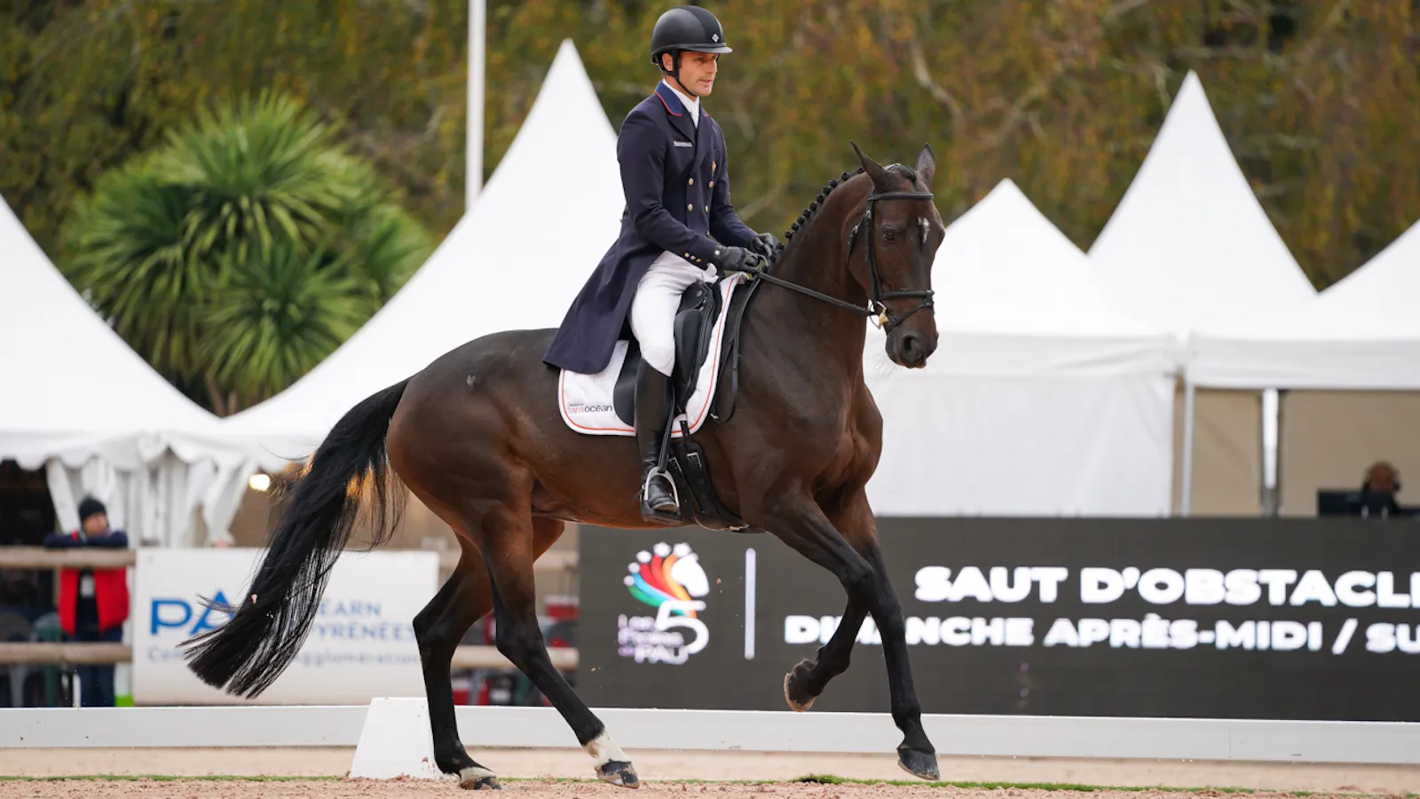 Swing de Perdriat, dixième de son premier CCI 5*, il y a dix jours, à Pau.