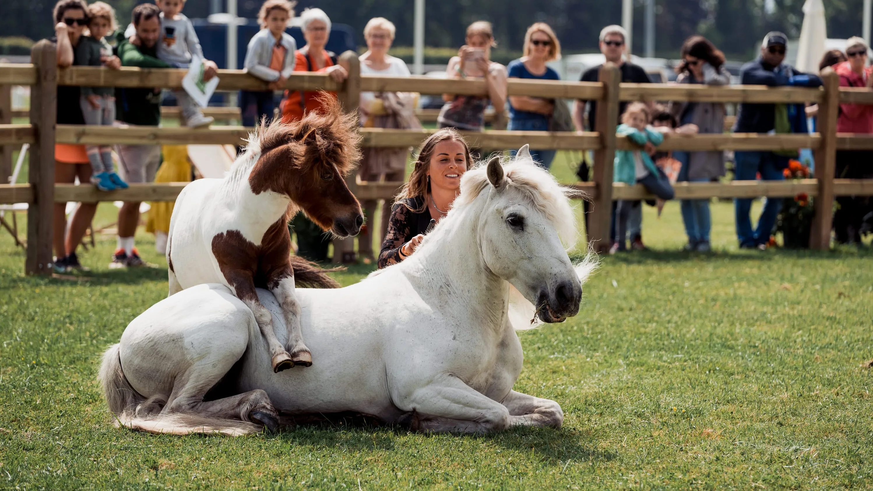 Spectacle Elisa Laville 