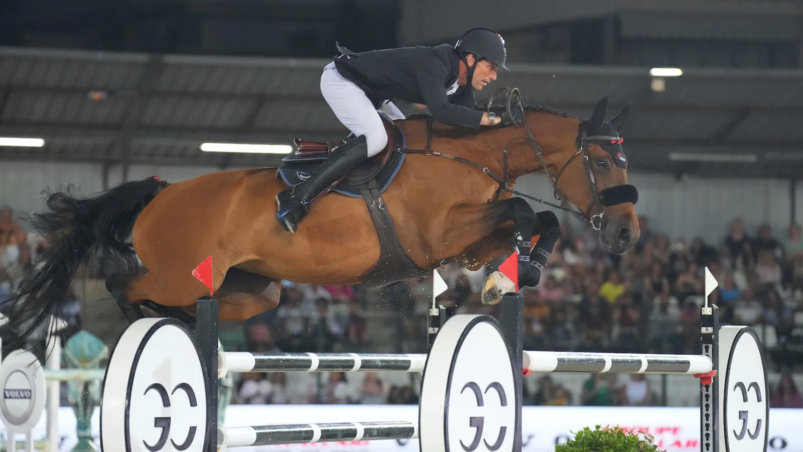 À neuf ans, Dialou Blue PS a terminé sixième de son premier Grand Prix 5*. 