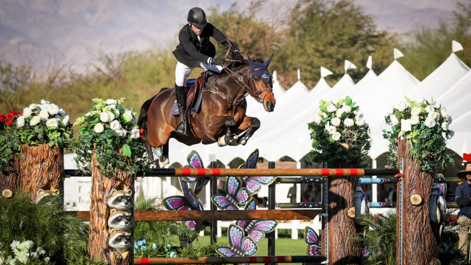 Conor Swail s'est une nouvelle fois illustré avec Count Me In, terminant cette fois deuxième.