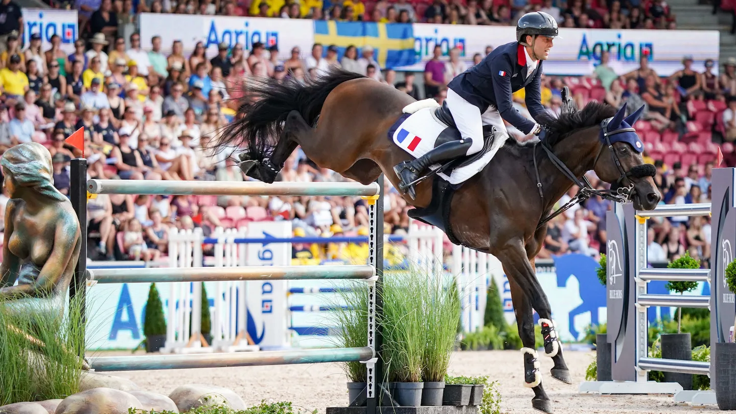 Pour son premier championnat, Cayman Jolly Jumper s'est montré très à la hauteur. 