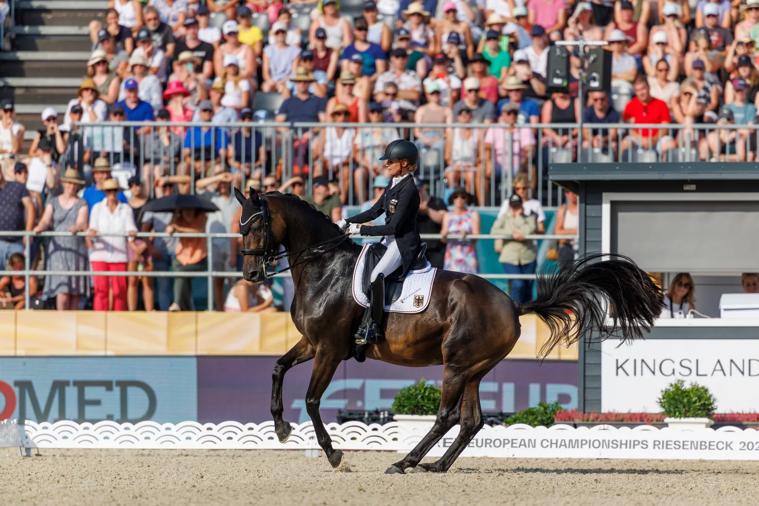 Jessica von Bredow-Werndl a mené Dalera BB au titre de meilleure monture de dressage de l'année 2023