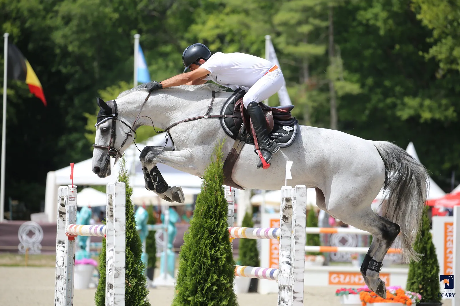 Avec sa redoutable Stalognia, René Lopez a effectué un nouveau parcours très rapide.