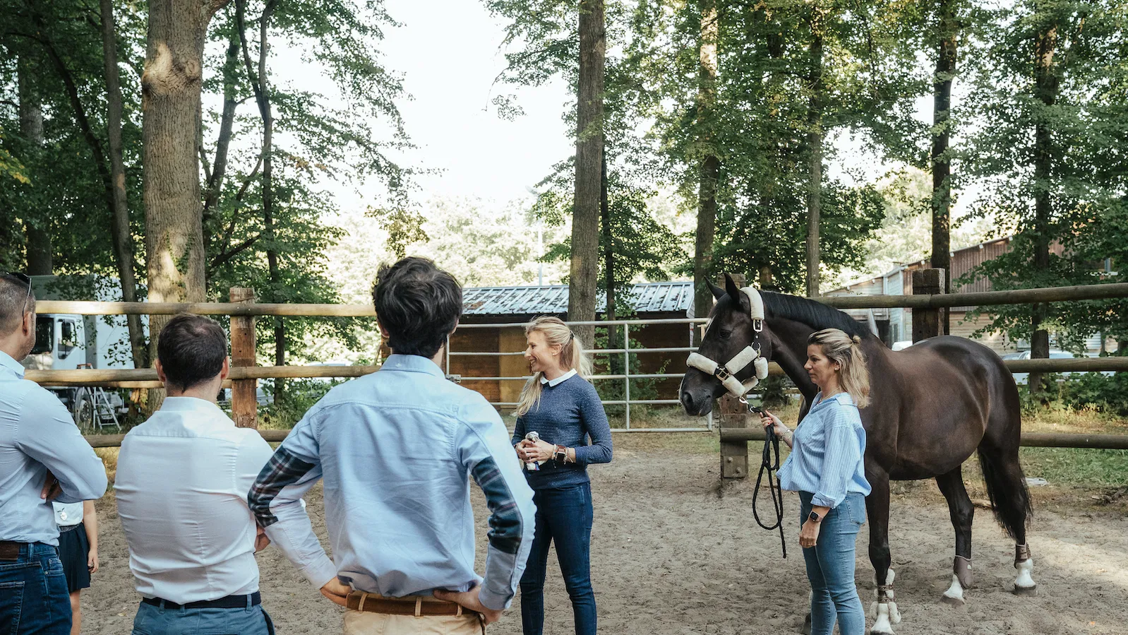 Séance d'Equicoaching - Equo coaching 