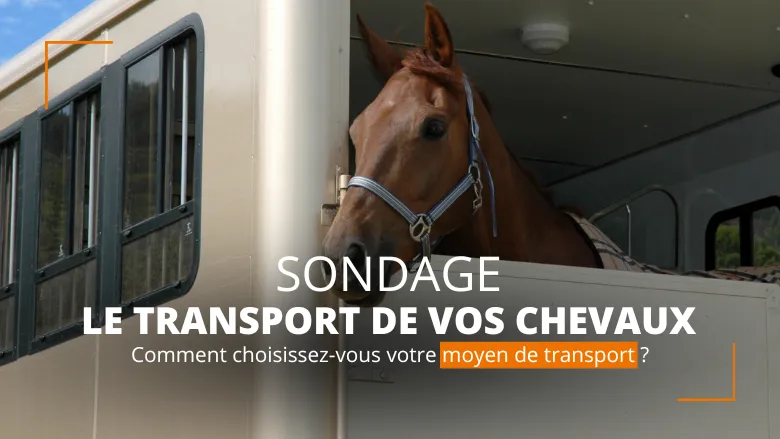 Répondez à notre sondage ! 