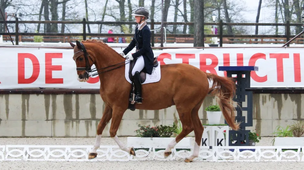 La meilleure performance française revient à Camille Judet-Chéret et Scoop du Bois Luric terminant à la cinquième place.