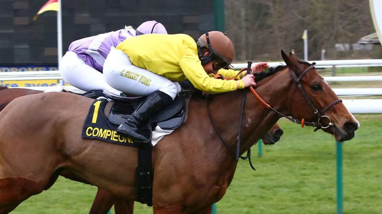 Très rares sont les cavaliers qui, comme Camille Collet-Vidal, parviennent à se faire une place à la fois dans le milieu des courses et dans les sports équestres à un très bon niveau.