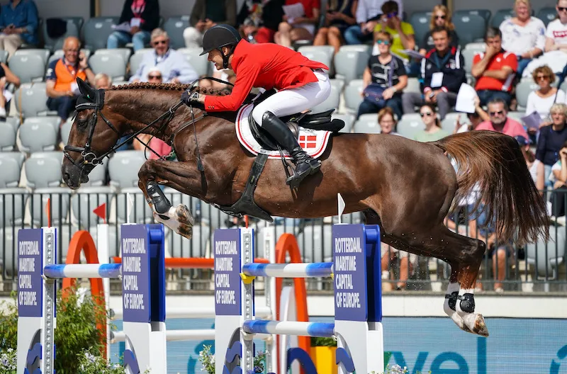 Ici aux championnats d’Europe Longines de Rotterdam en 2019 avec le Danois Søren Møller Rohde, l’étalon Todt un Prince, meilleur fils de Klaire, dégage beaucoup de puissance.