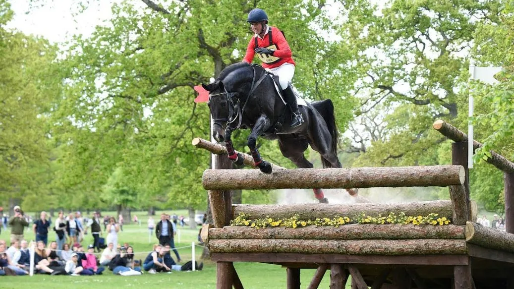 Ici au CCI 5*-L de Badminton, Galileo Nieuwmoed est le meilleur cheval de complet de l'année.