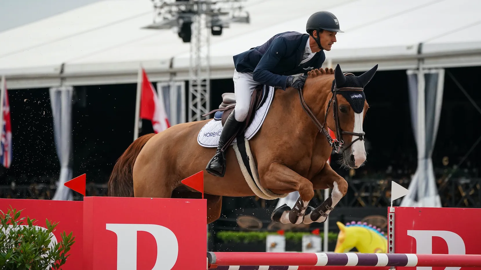 Frédéric Bouvard et Lubie de l'Élan.