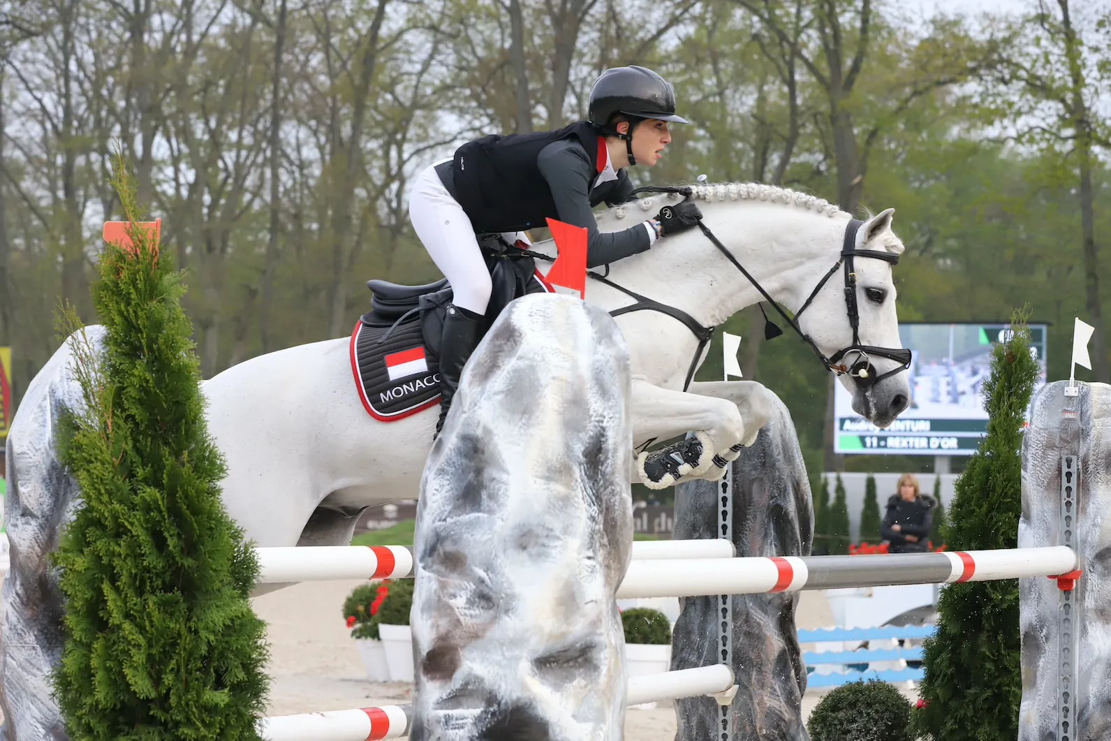 Le génial Rexter d'or, ici au CSIO de Compiègne, qui, après avoir fait les belles heures de l'équipe de France, sert désormais le drapeau monégasque. 