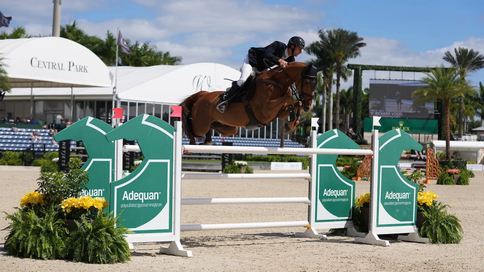 Richard Vogel sur Cepano Baloubet