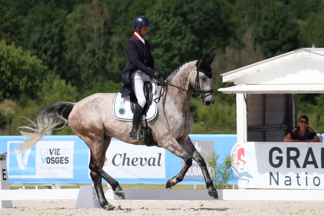 Nicolas Touzaint considère que c'est "grâce à Amélie Billard que Diabolo Menthe commence à être bien calé" sur le dressage.