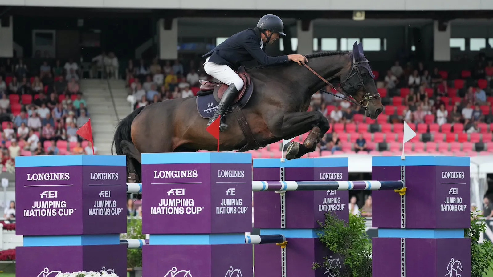 Wilm Vermeir et Iq van het Steentje ont signé une superbe deuxième place cet après-midi. 