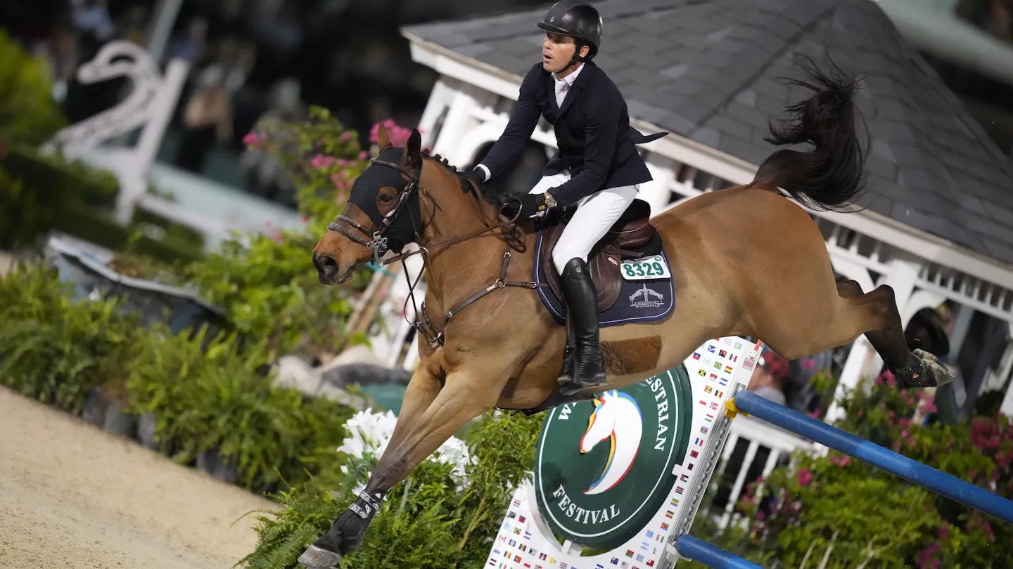 Conor Swail compte notamment sur le Selle Français Vital Chance*De la Roque. 