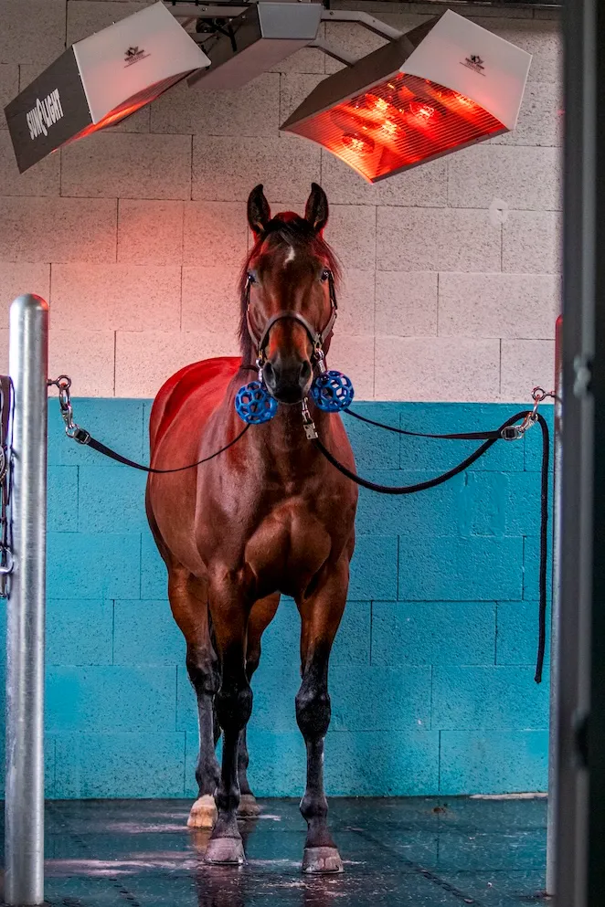 La chaleur du solarium, qui contribue à une bonne décontraction musculaire, peut également améliorer la circulation sanguine.