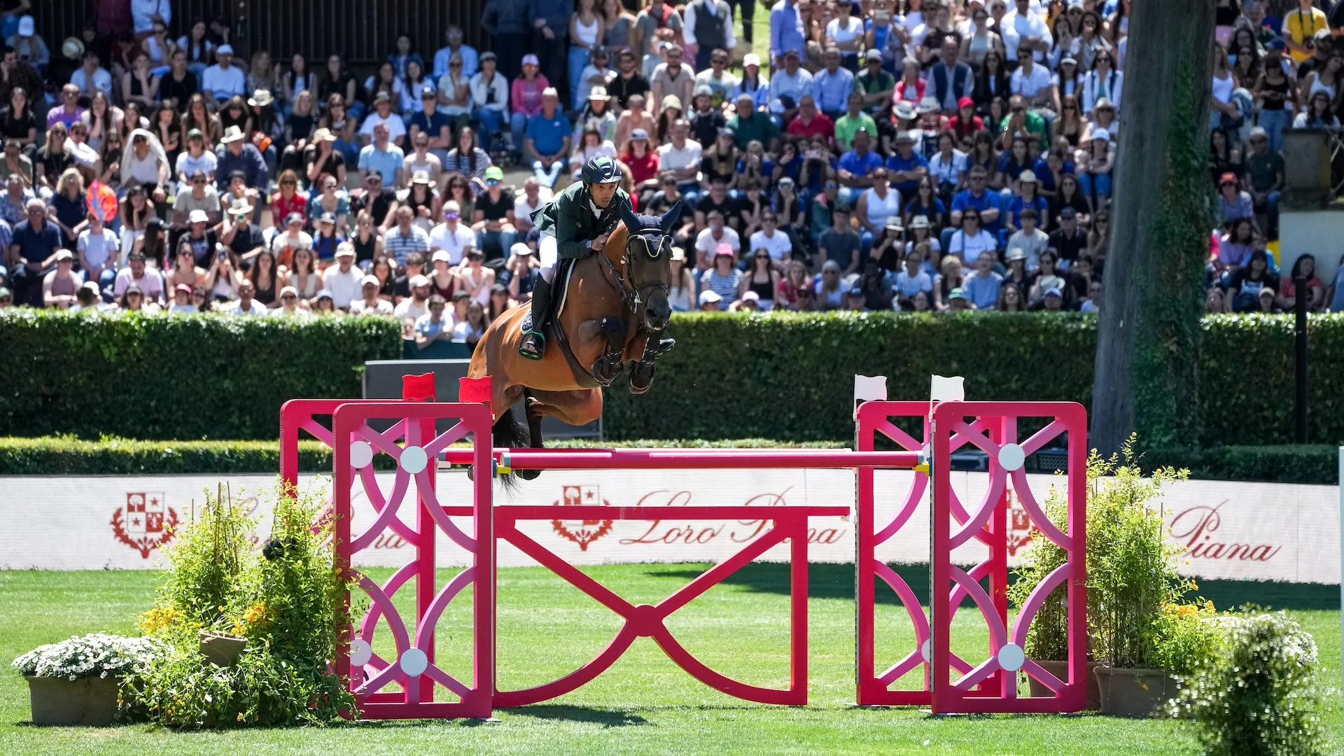 “Après trois années en Europe, voilà qu’elle m’offre les plus belles victoires de ma carrière”, dit Yuri Mansur de sa baie née Miss Blue Mystic Rose.