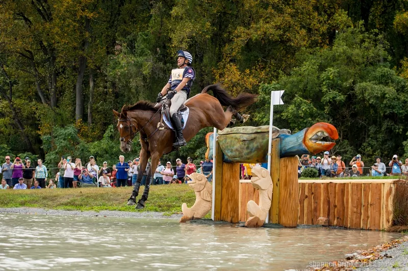 Boyd Martin et On Cue.