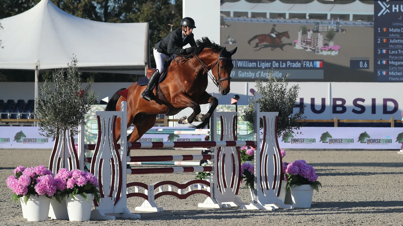 William Ligier de la Prade et Gatsby d'Argeville, produit de l'élevage familial