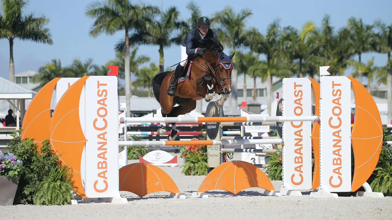 Eduardo Menezes passe son hiver aux États-Unis pour préparer ses chevaux sur les tournées américaines comme ici, à Wellington.
