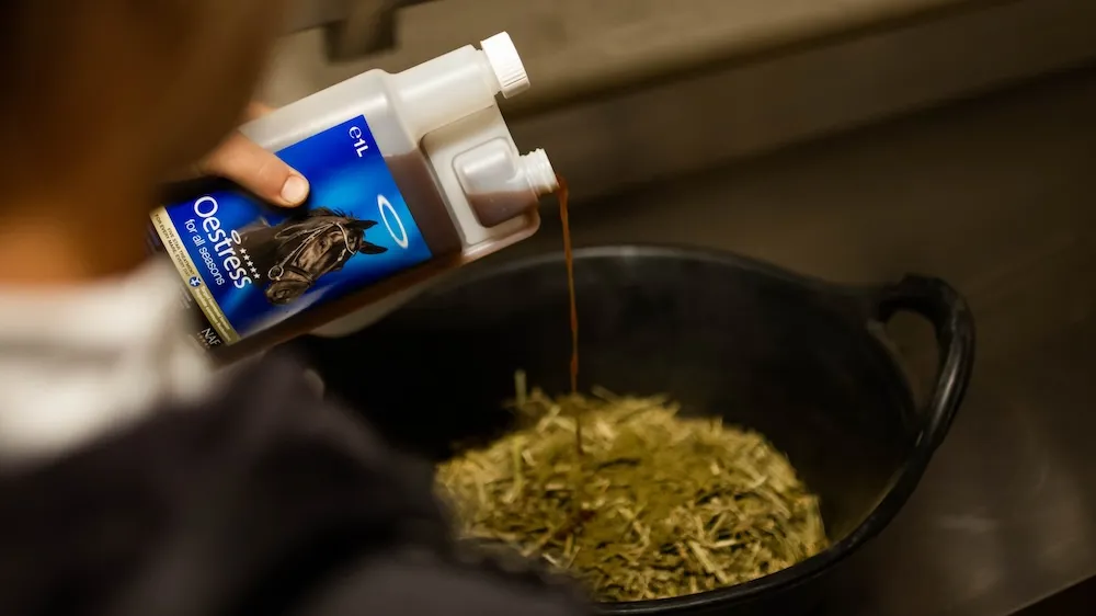 Les compléments alimentaires destinés à soulager les douleurs générées par des chaleurs peuvent être donnés ponctuellement ou à l’année si la jument est aussi réactive en hiver.