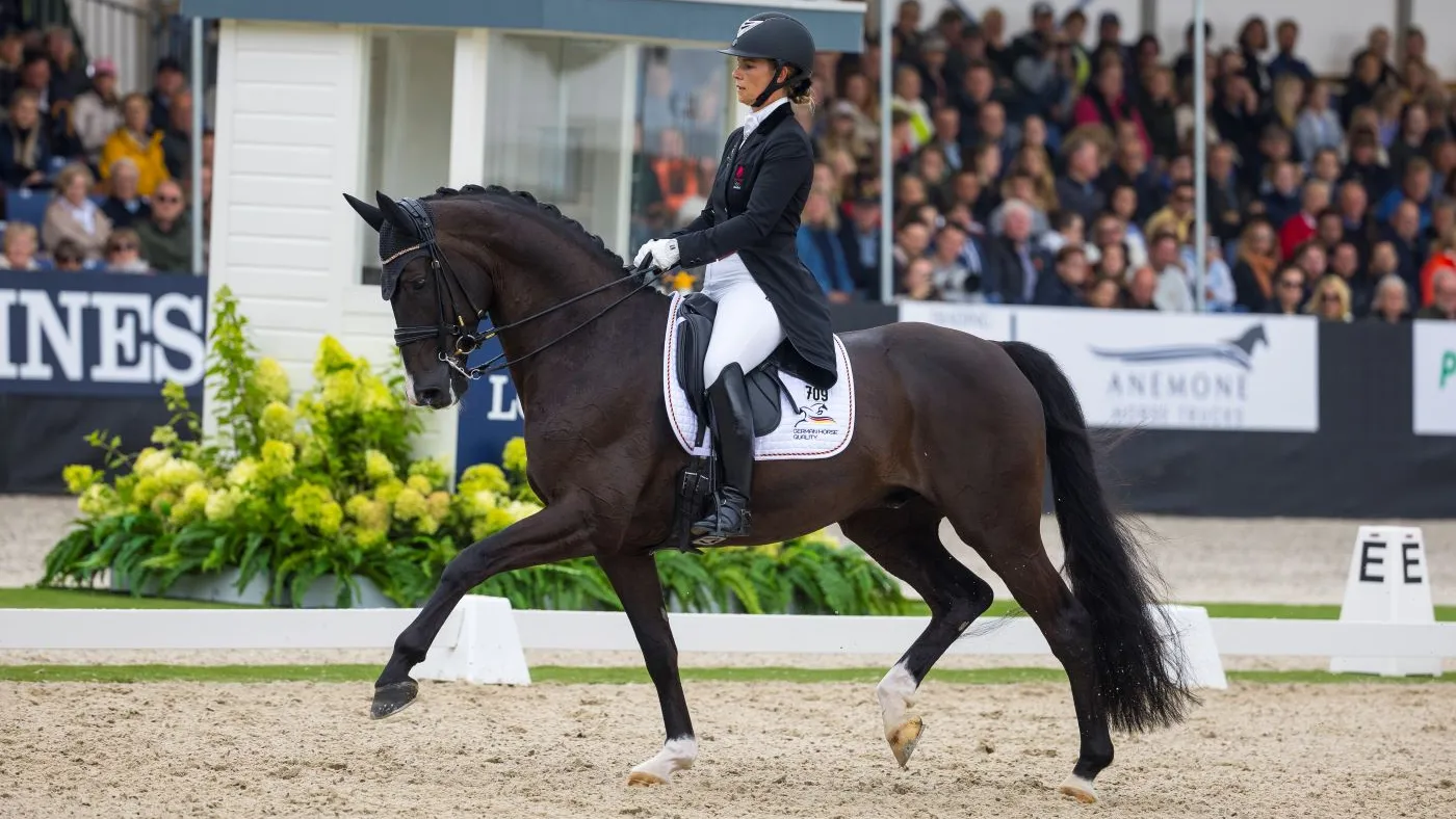 La Danoise Anna Kasprzak et son hongre noir Danciero (Han, Dancier x Füchtels Floriscount) ont volé la vedette lors de la finale des sept ans grâce à un score final de 86,829%.