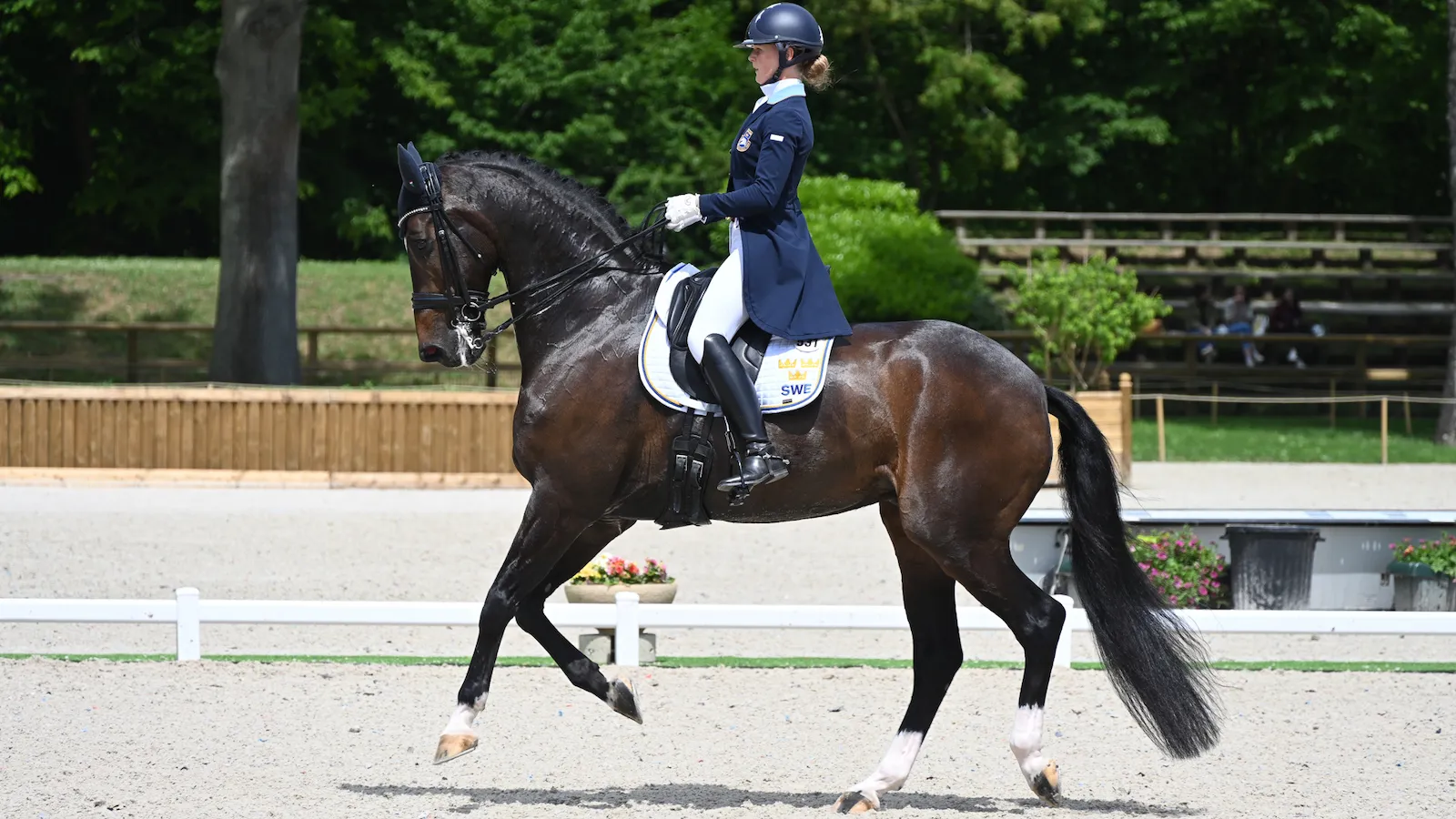 Juliette Ramel et son olympique Buriel K.H.
