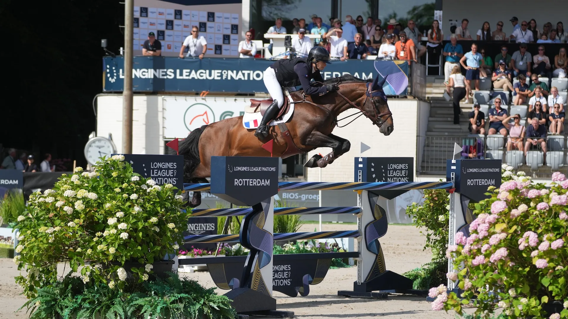 Vendredi passé, Jeanne Sadran a livré l‘un des deux double zéro de l’étape de la Ligue des nations de Rotterdam sur Dexter de Kerglenn.