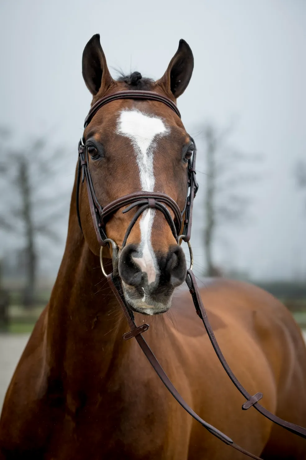 Cooper van de Heffinck.