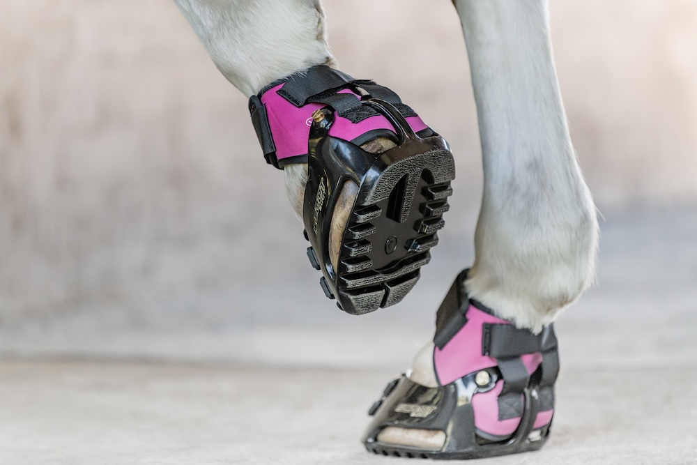 Protection ponctuelle et très manipulable, l’hipposandale (ici avec un accessoire Scootboot MultiPurpose Gaiter) permet au sabot d’être nu en dehors du temps de travail ainsi qu’un gain de liberté pour un parage rapproché.