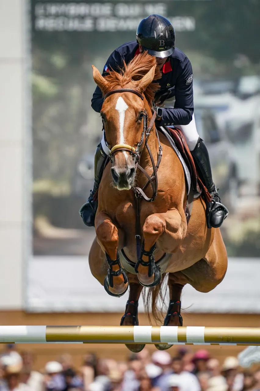 Julien Épaillard et Dubaï du Cèdre.