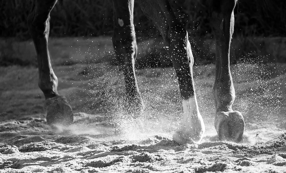 Sable fibré ou non, une carrière a malheureusement besoin d’eau pour être praticable, sous peine de finir en sable de dune, fuyant et poussiéreux.