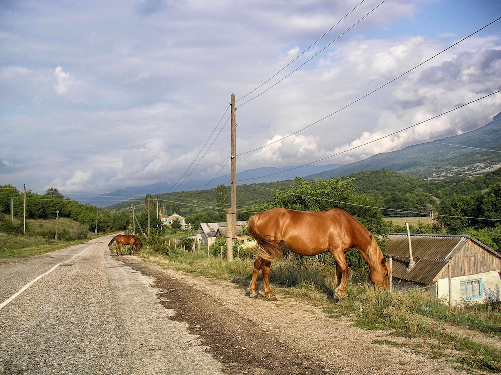 Héberger son cheval s’accompagne d’une obligation de détention. Attention aux dramatiques fuites, en particulier quand elles finissent sur la route.