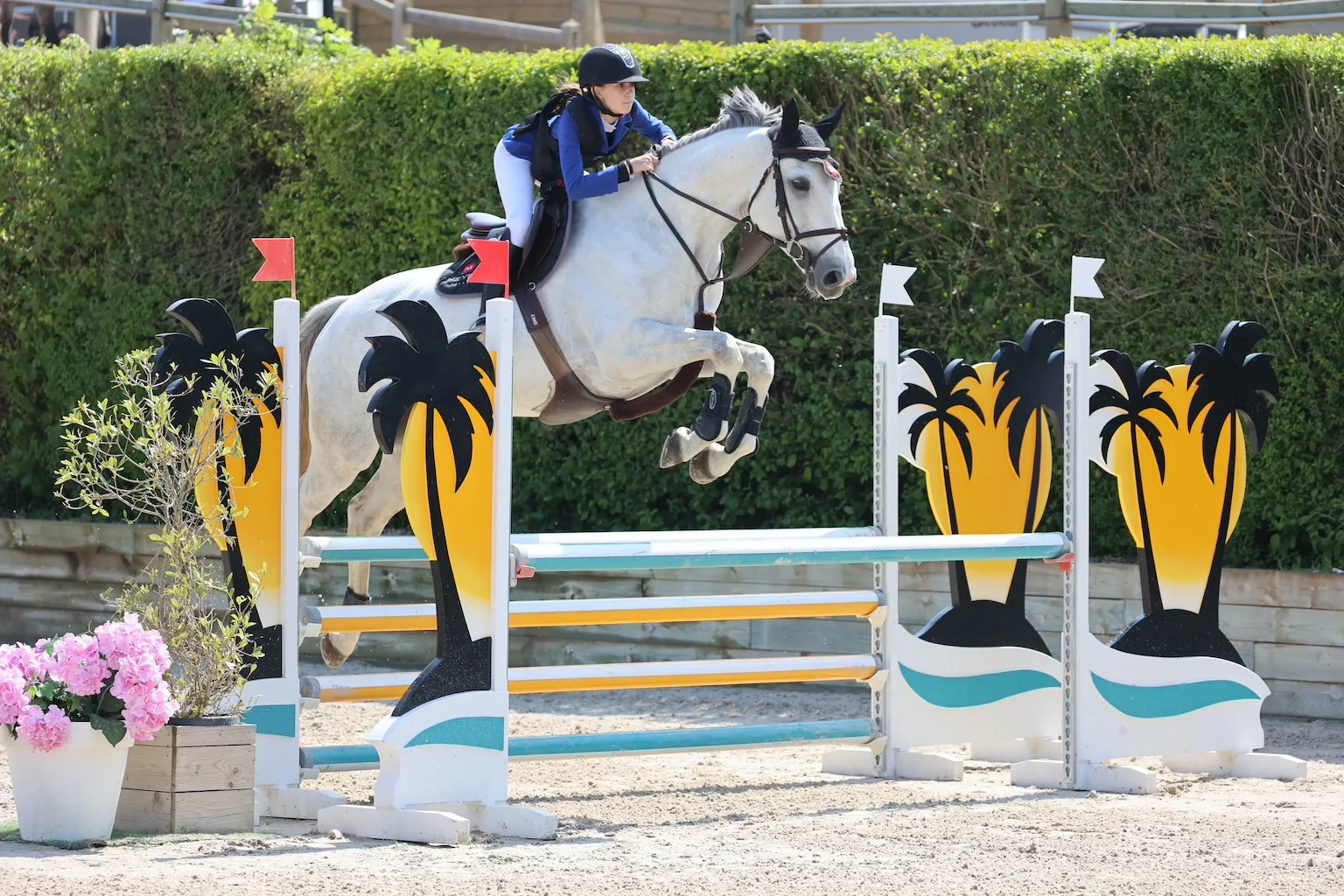 Origines exceptionnelles pour Dreamy de Mere!